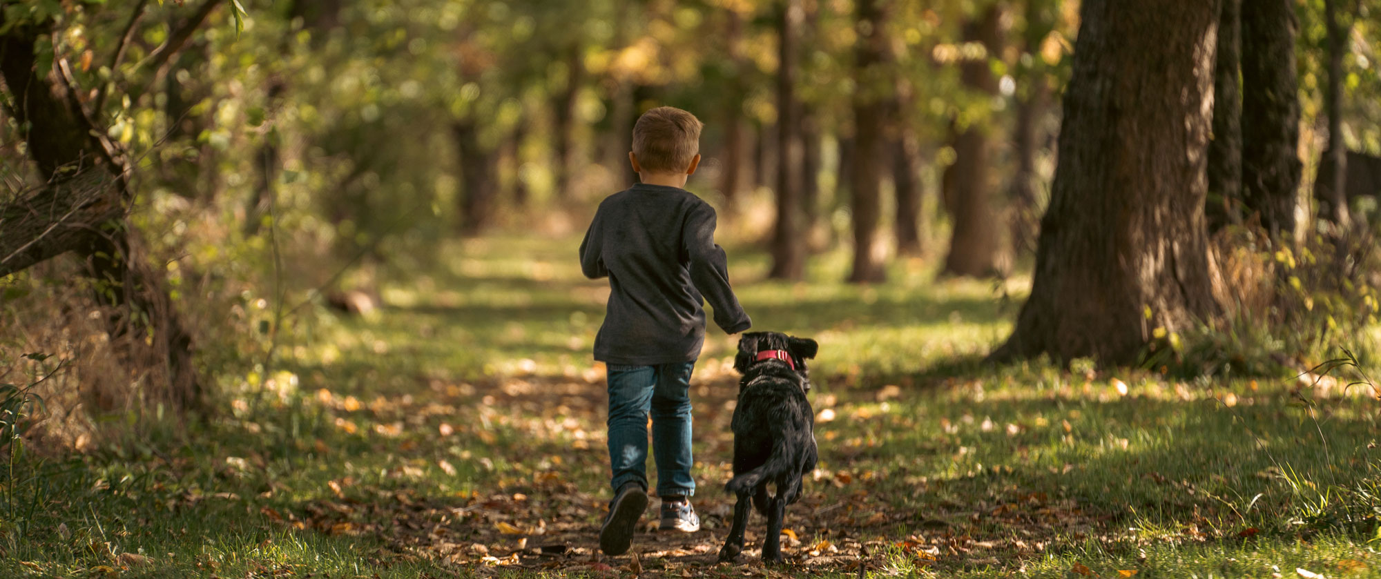 Holidays the whole family can enjoy, including the dog