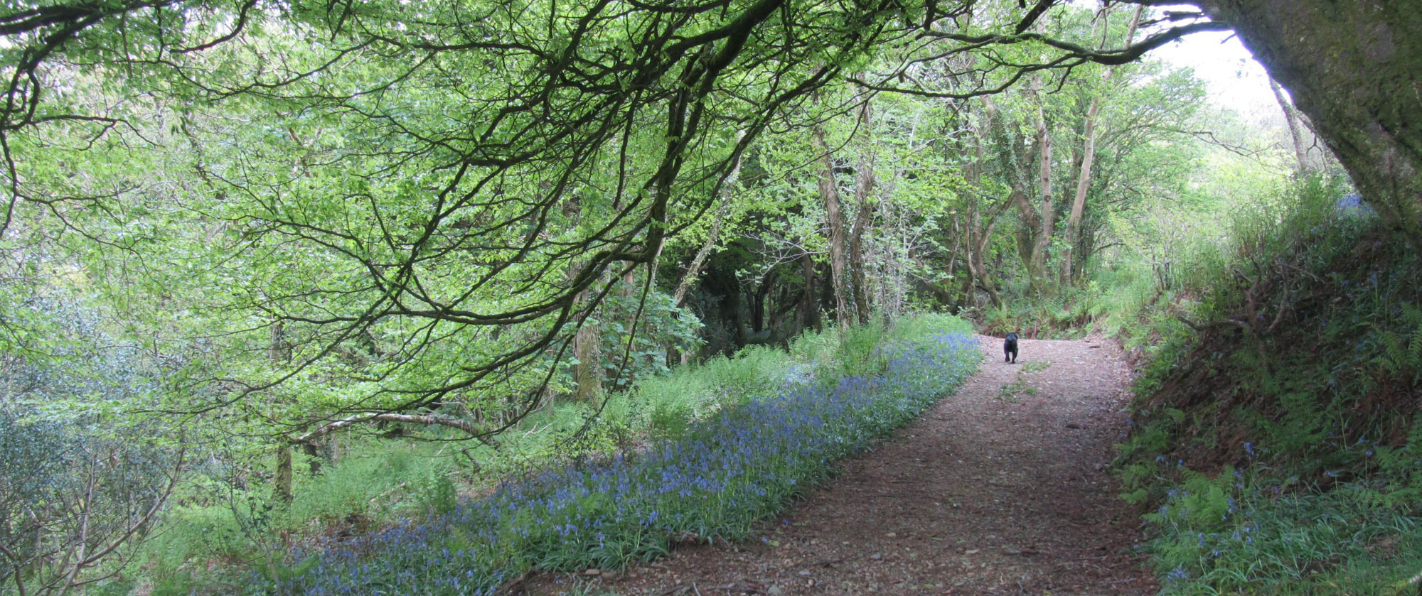 The best walking routes – a guide to the beautiful routes around Ellesmere