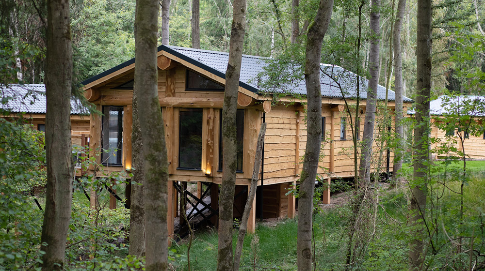Treehouse Lodges, Woodland Park