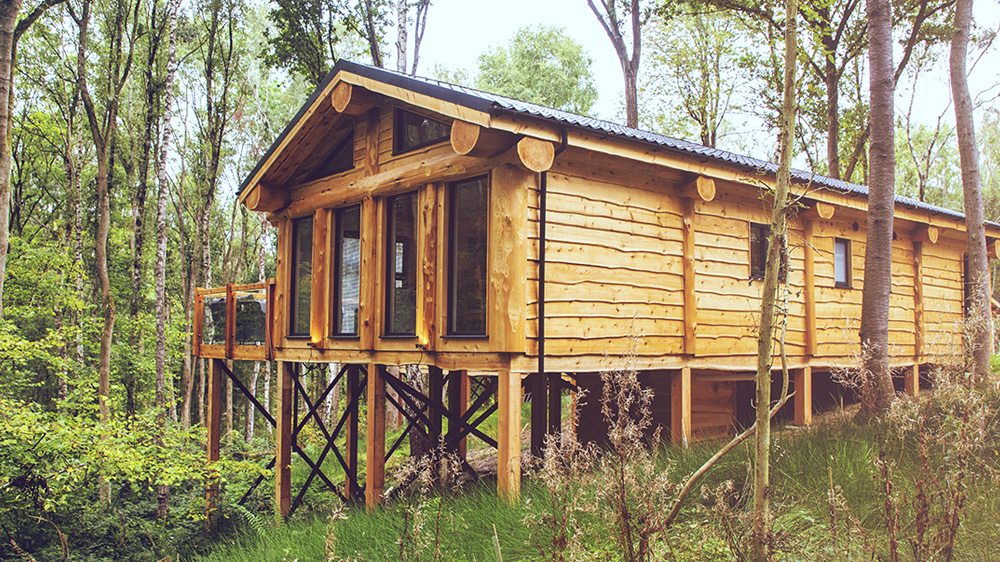 Treehouse, Woodland Park