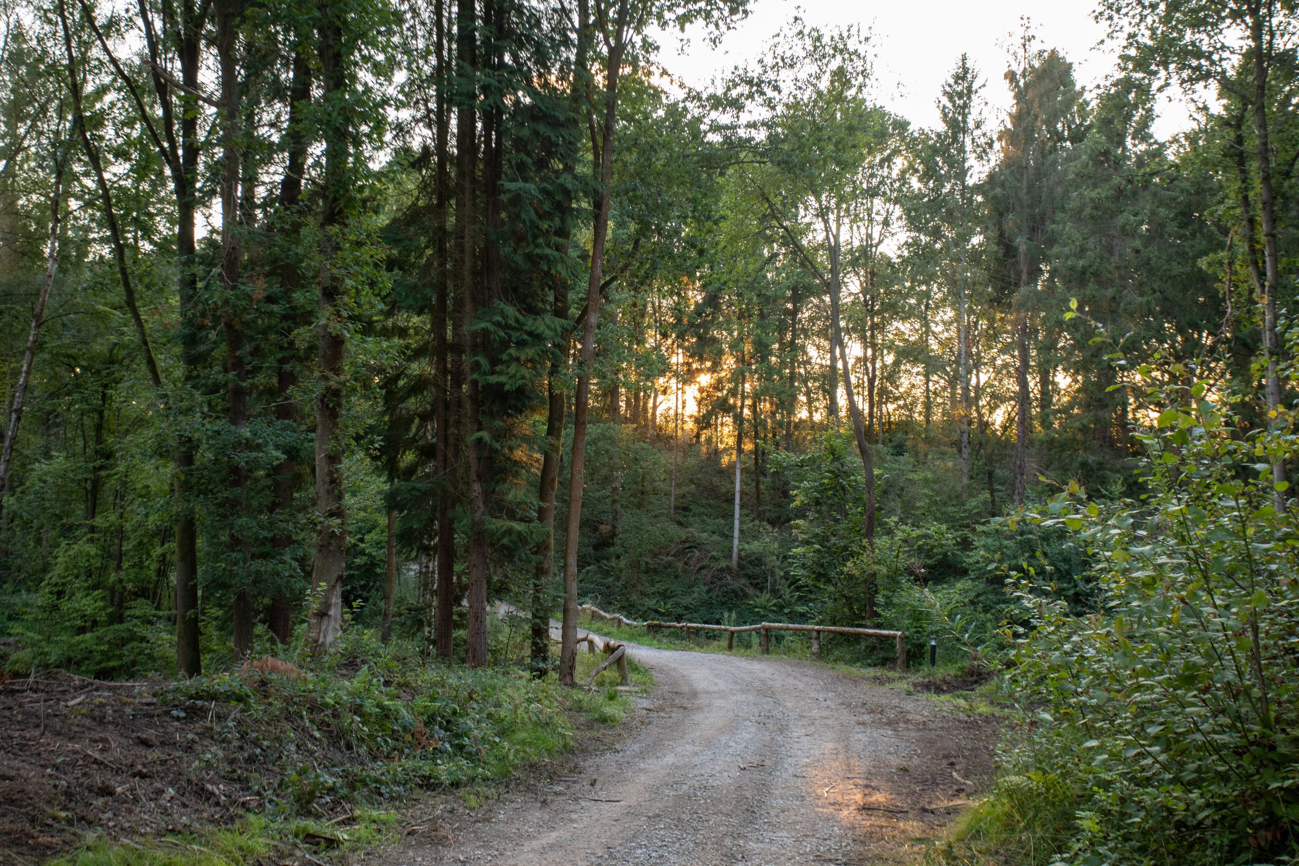 The Best Shropshire Cycling Routes For Your Lodge Getaway